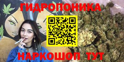 ГАЛЛЮЦИНОГЕННЫЕ ГРИБЫ Коммунар