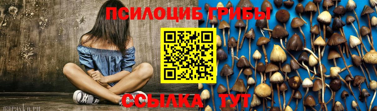 Галлюциногенные грибы Psilocybe  Вход с VPN  Ковров 